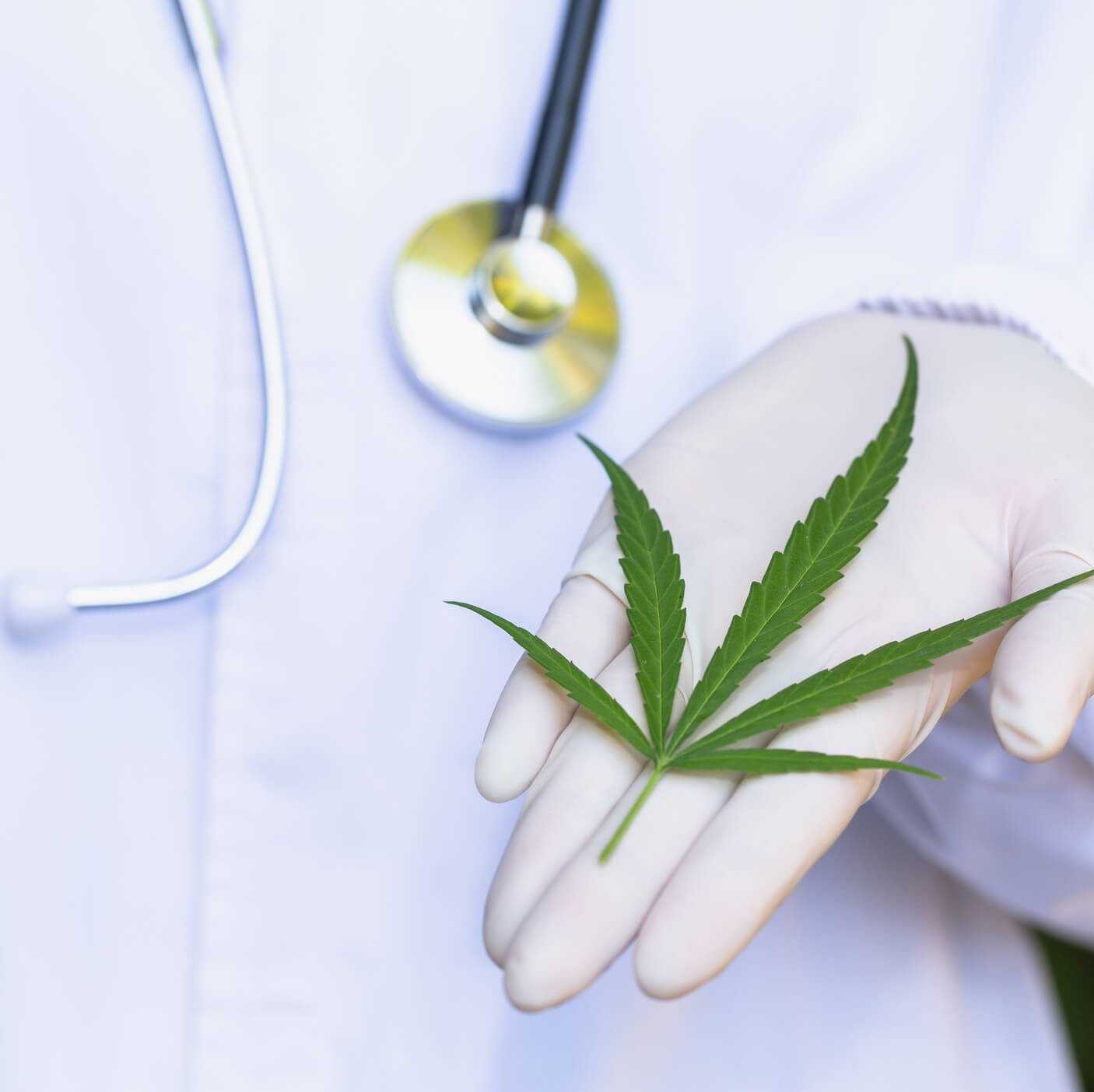 CBD & Cancer : Du cannabidiol pour soulager certains symptômes ?