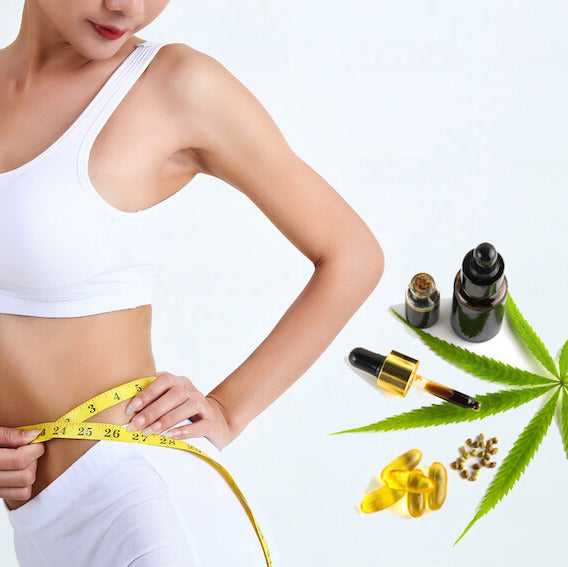 Le CBD : un coupe faim efficace ?