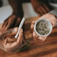 Consommation de CBD : qui sont les plus intéressés ?