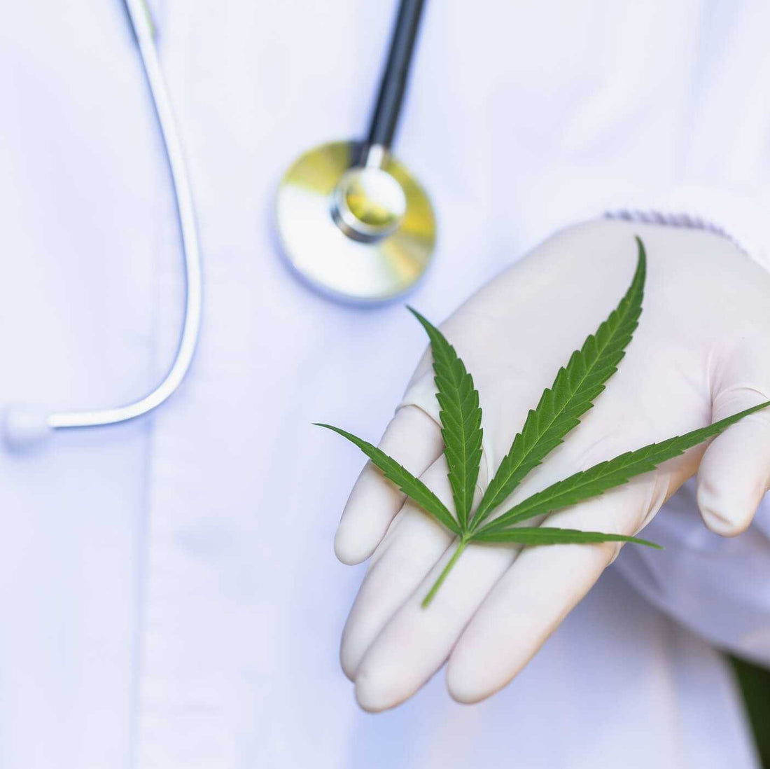 CBD & Cancer : Du cannabidiol pour soulager certains symptômes ?