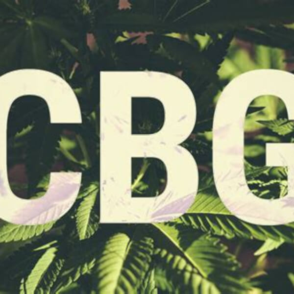 Tout Savoir sur le CBG : Propriétés, Utilisations et Avantages