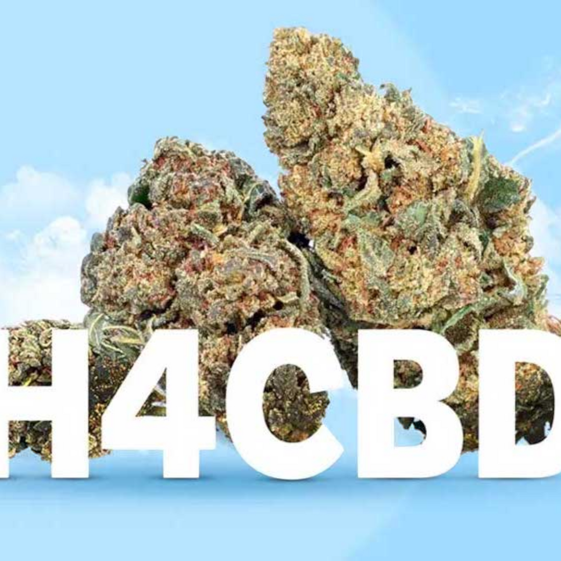 H4CBD : L'alternative naturelle au HHC chez CBD Shop Paris