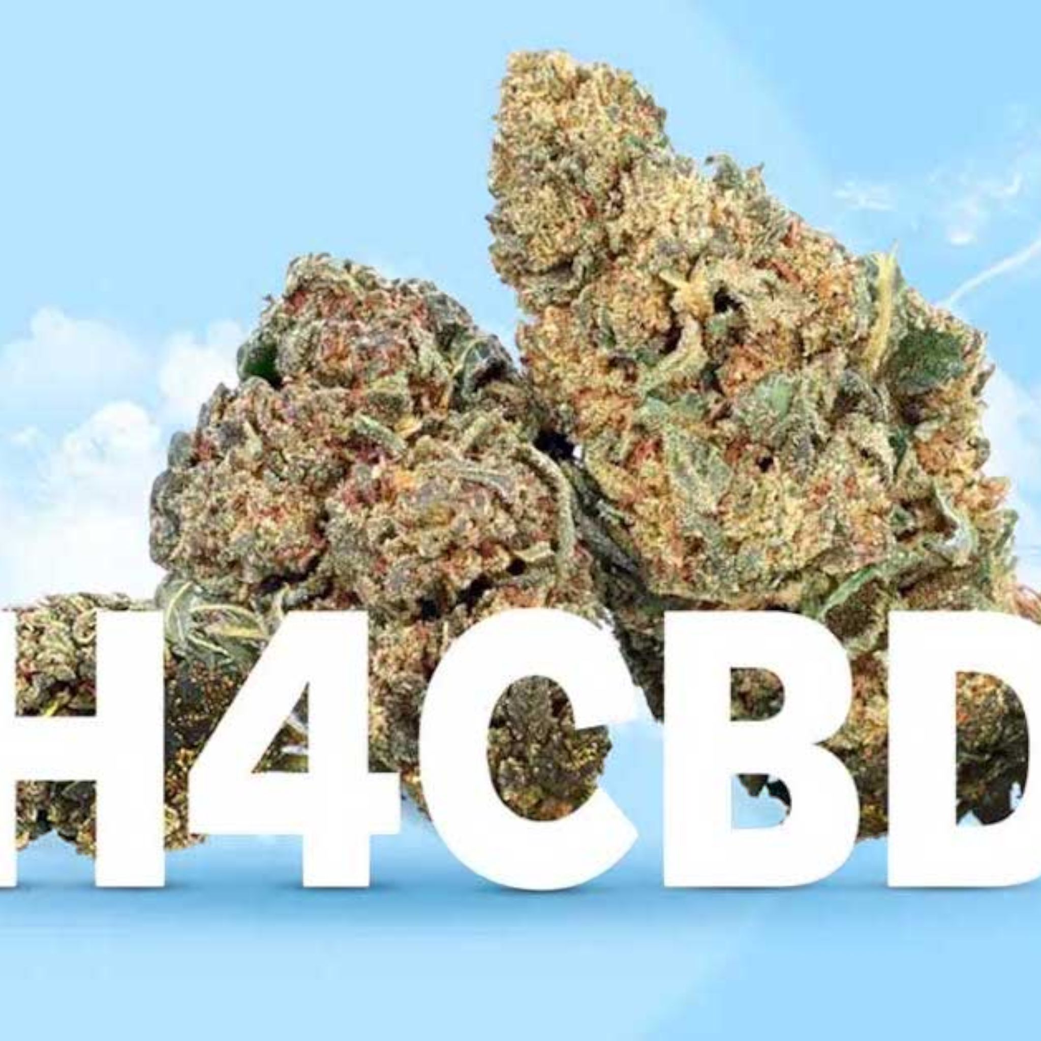 H4CBD : L'alternative naturelle au HHC chez CBD Shop Paris