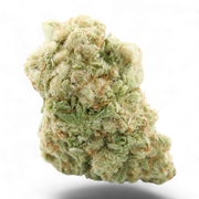 Amnesia Cryo ind 17%