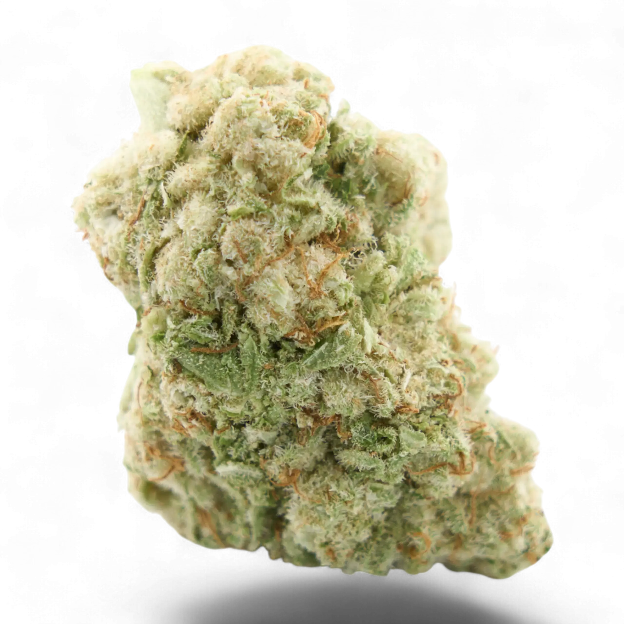 Amnesia Cryo ind 17%