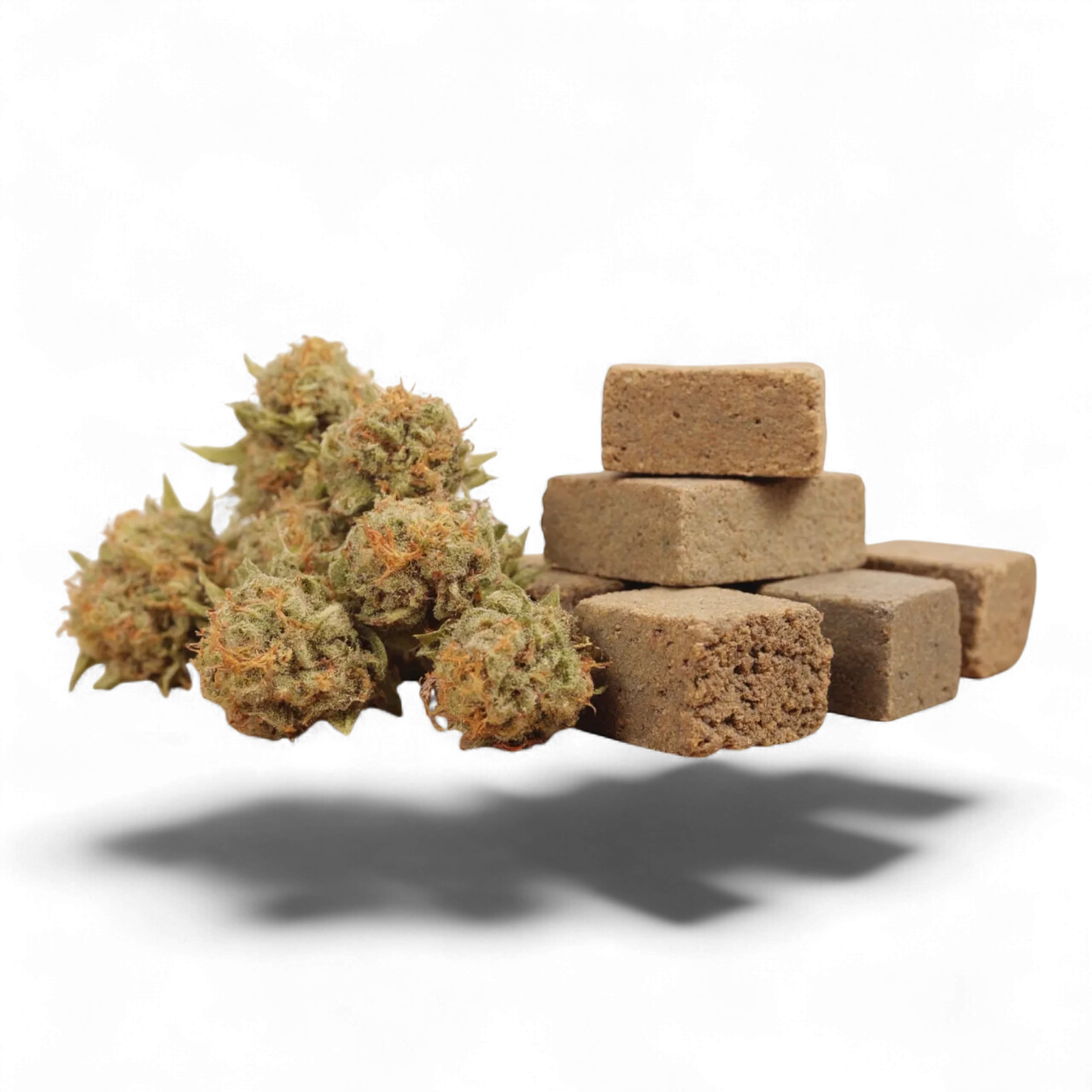 Überraschungsprobe 💝