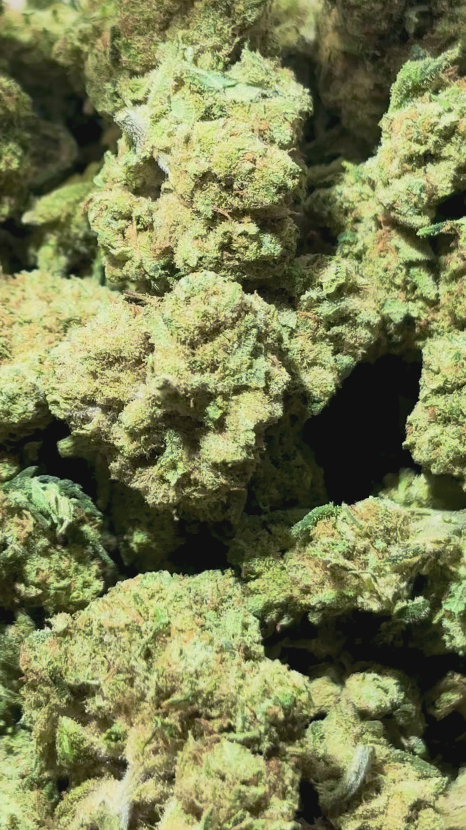 Video laden: Käse GH 12%CBD