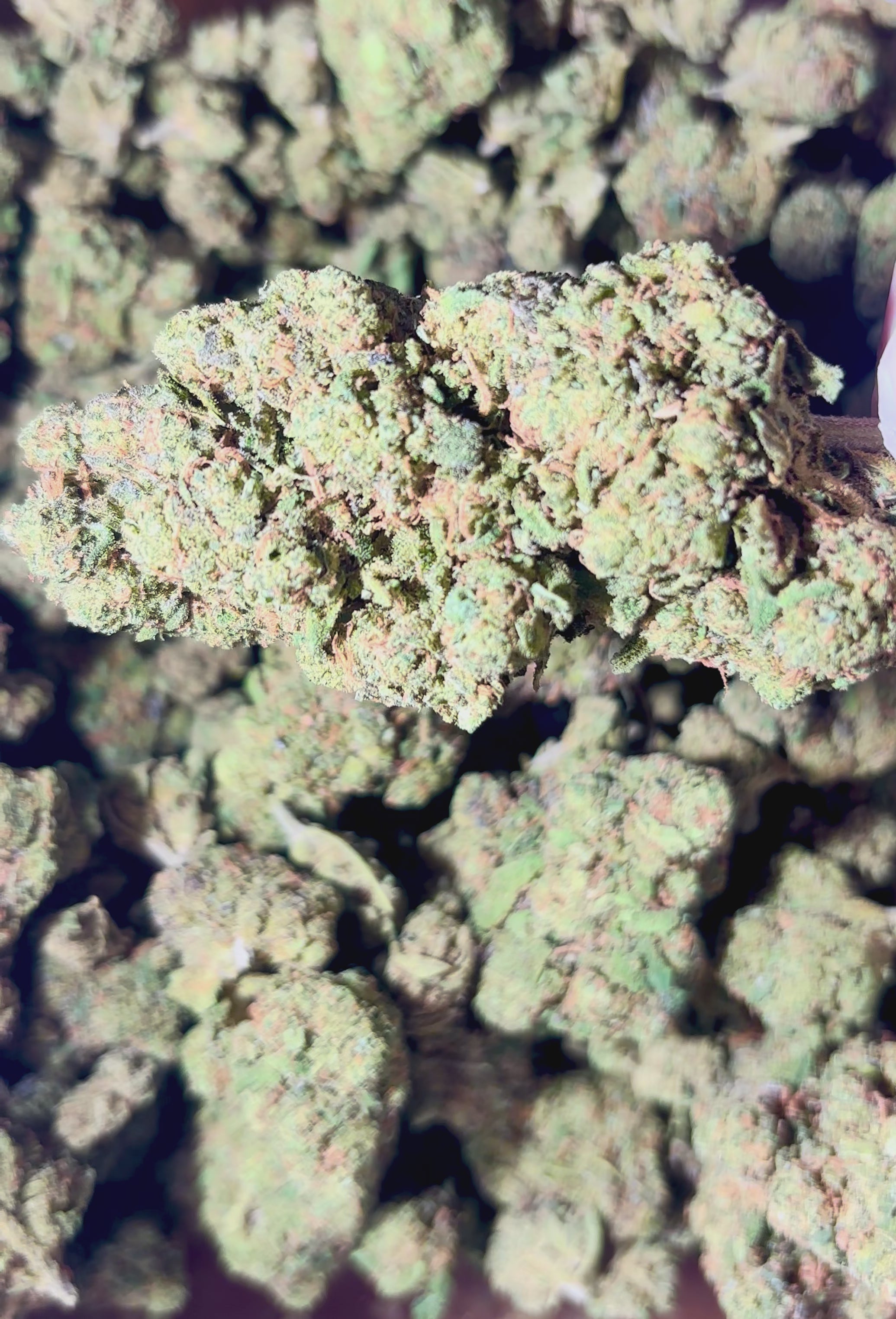 Video laden: Monster Kush 18% CBD