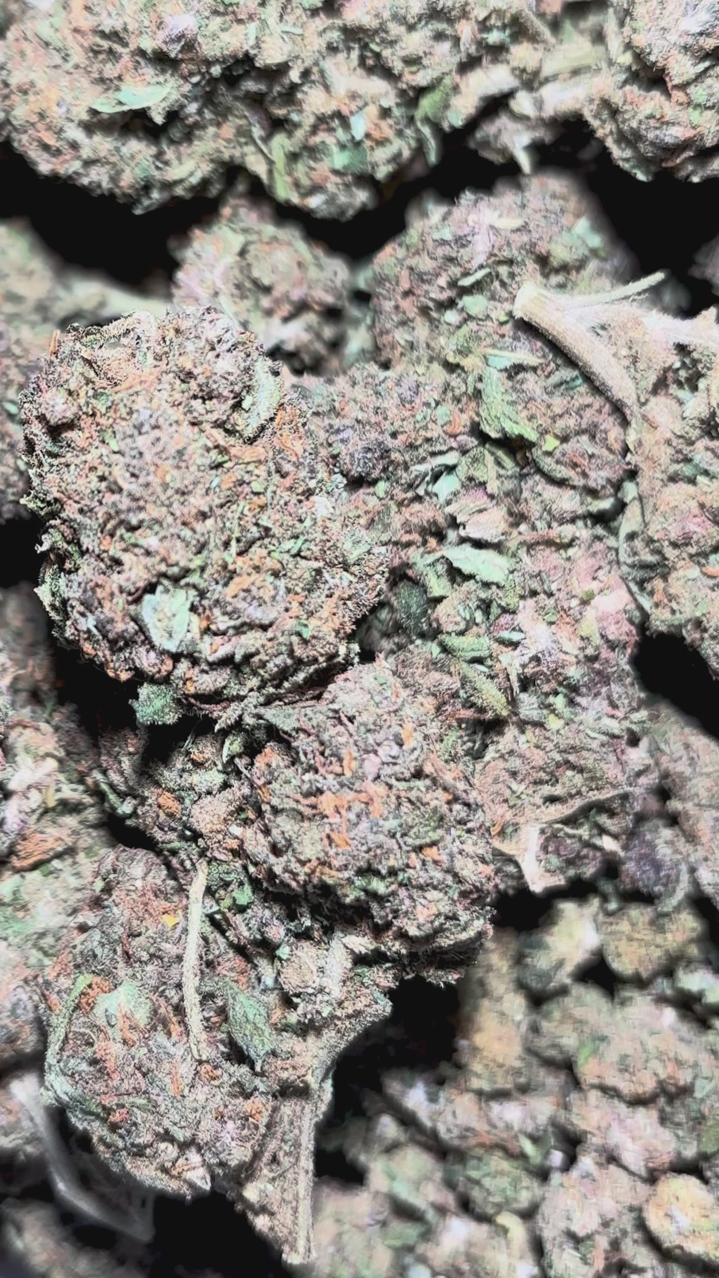 Video laden: Purple GH 11% CBD