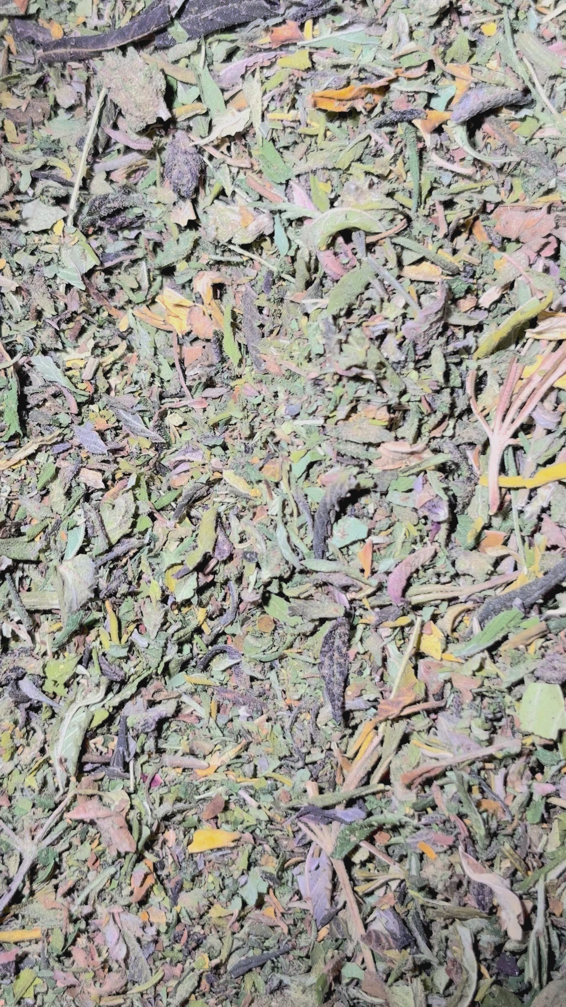 Video laden: Trim Indoor