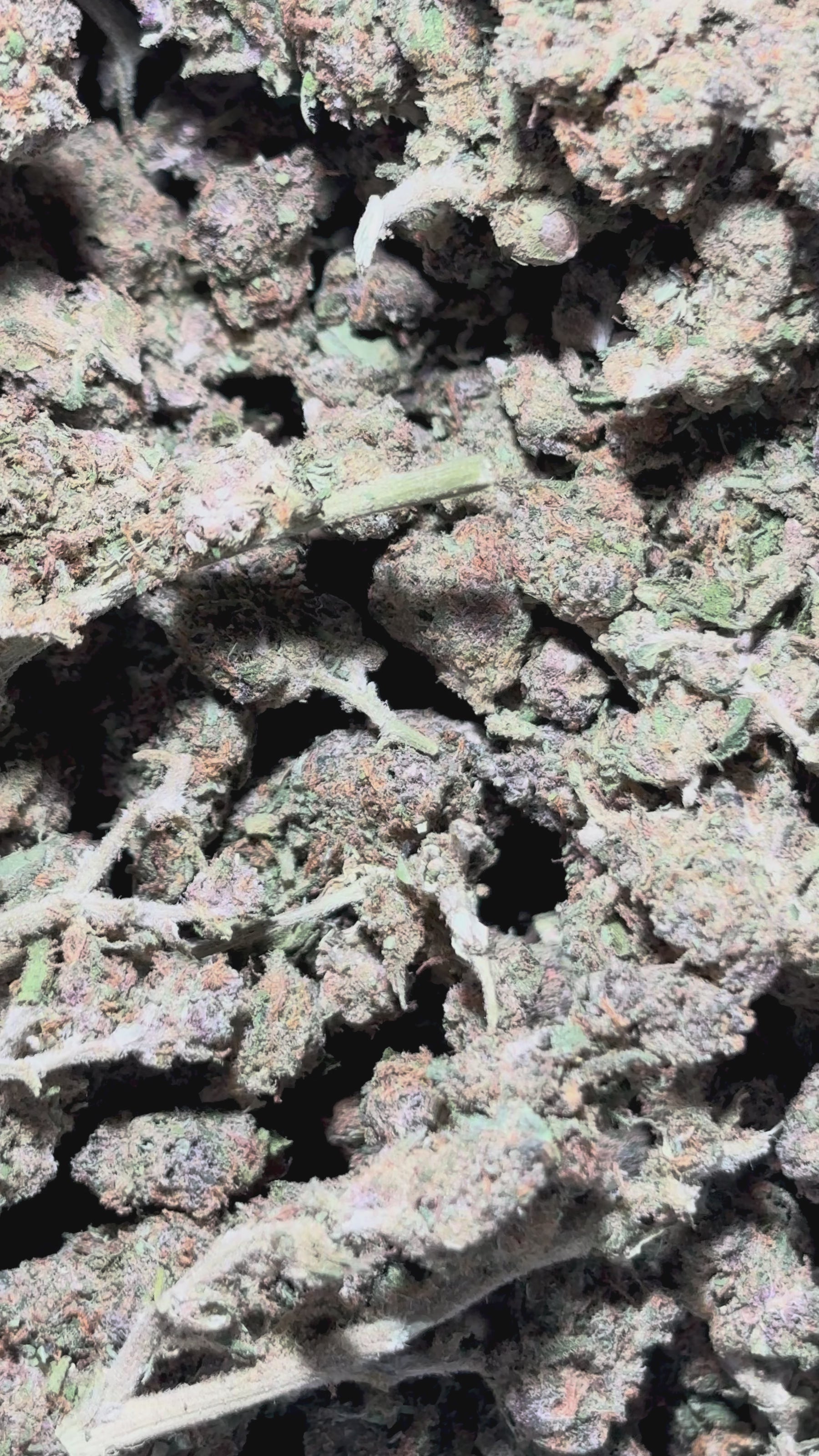 Video laden: Therapie GH 12% CBD