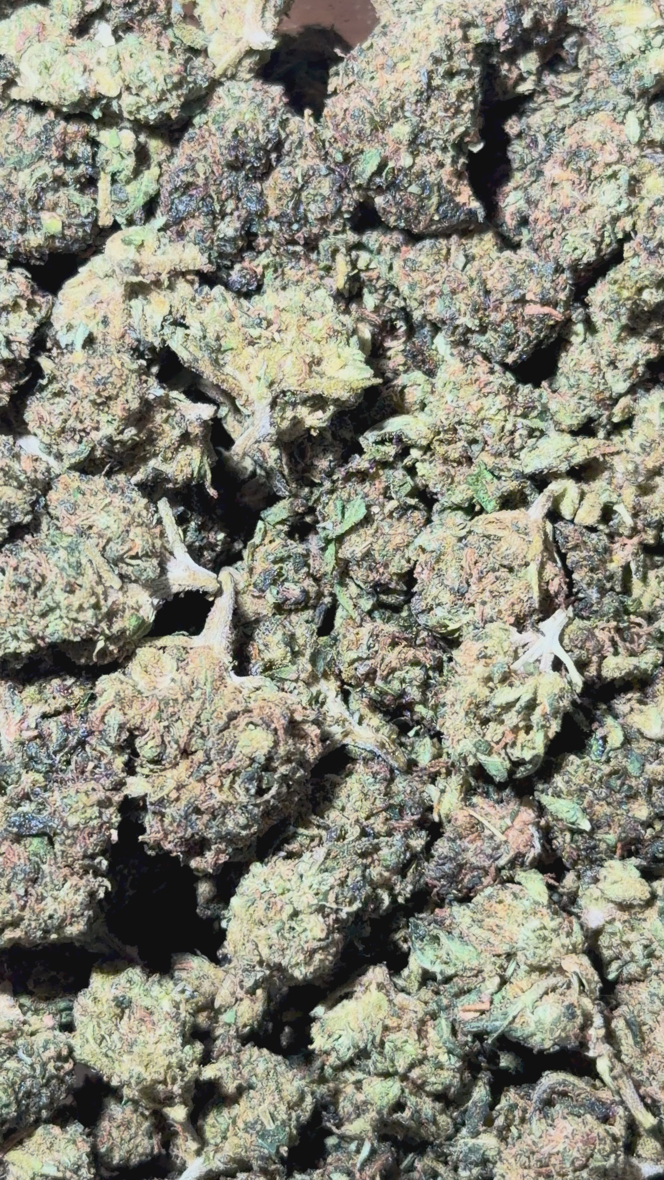 Video laden: 🇨🇭HQxCT Indoor 17% CBD