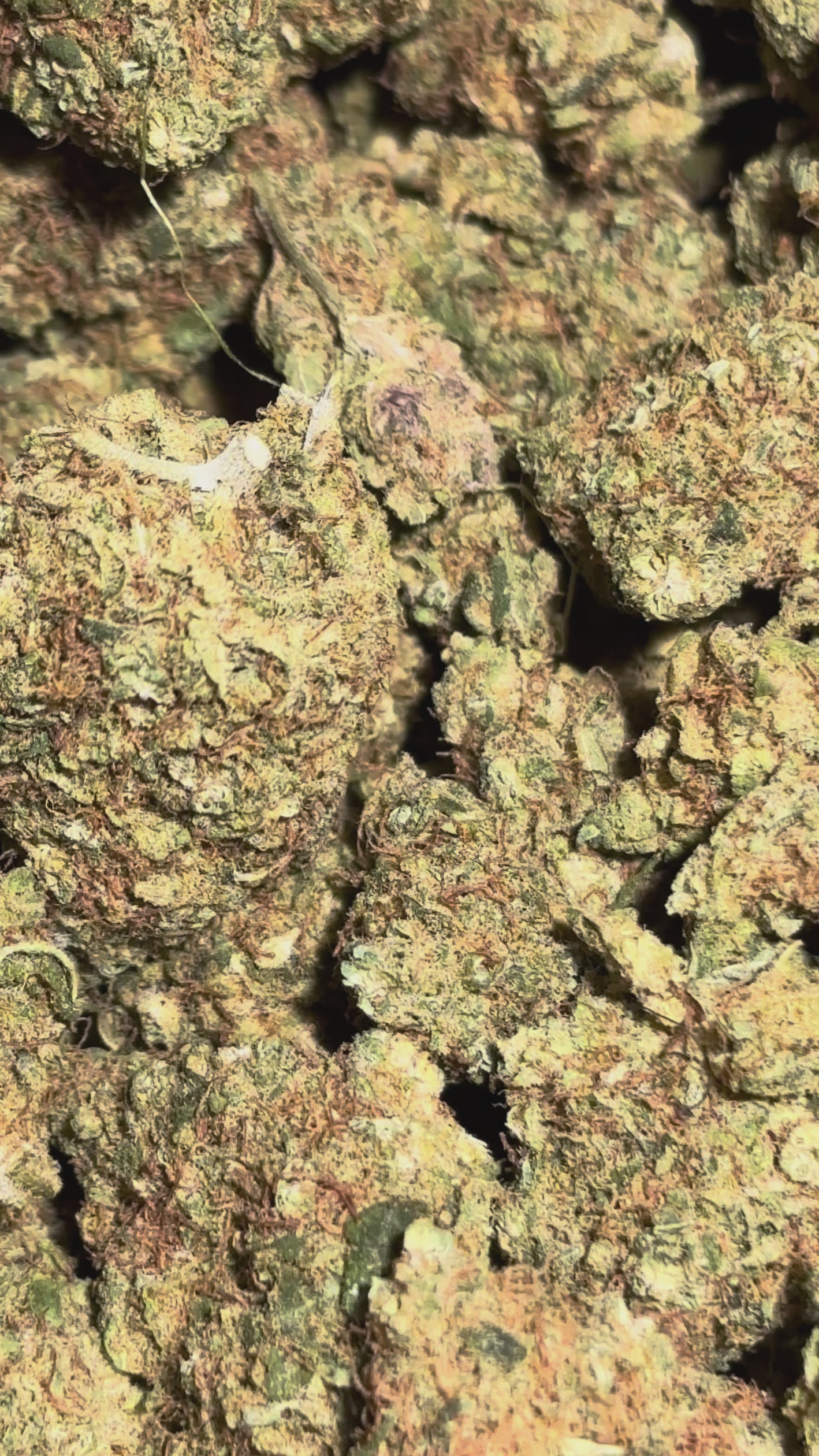 Video laden: Sour Diesel 18% CBD