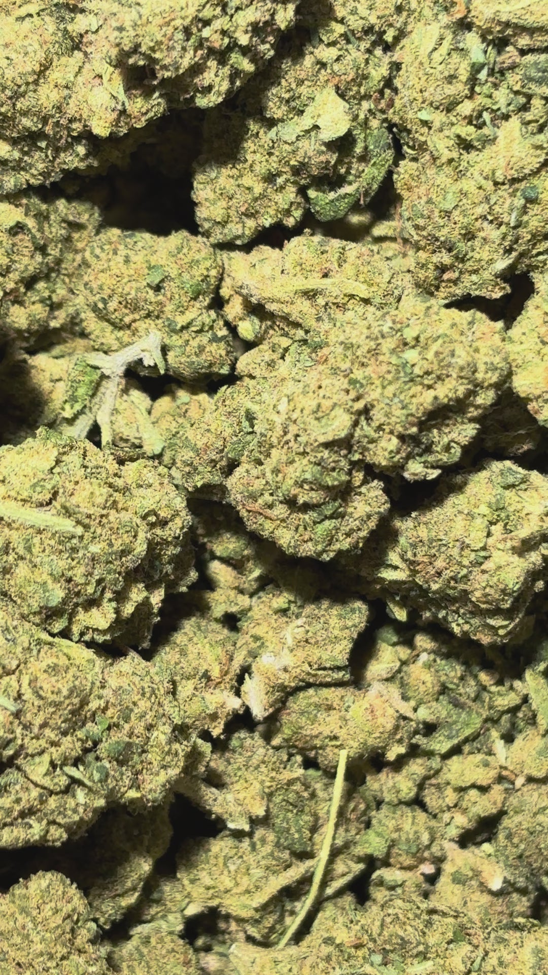 Video laden: Verbotene Frucht 18% CBD