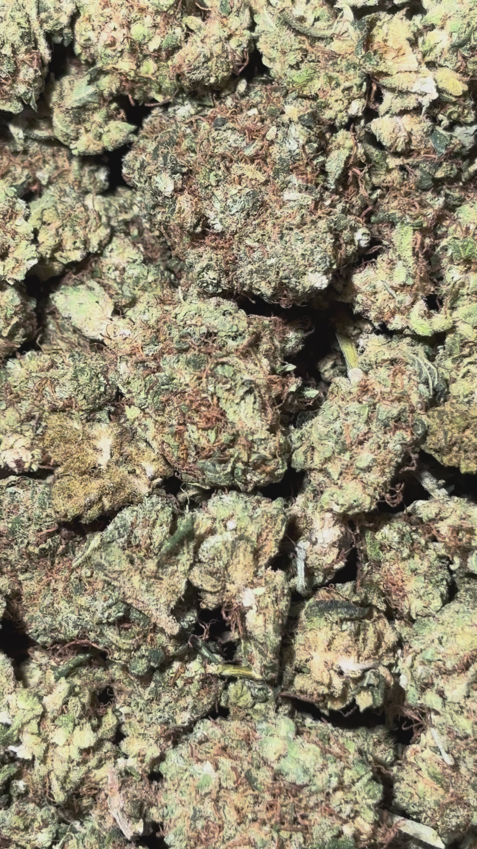 Video laden: Apple Drip