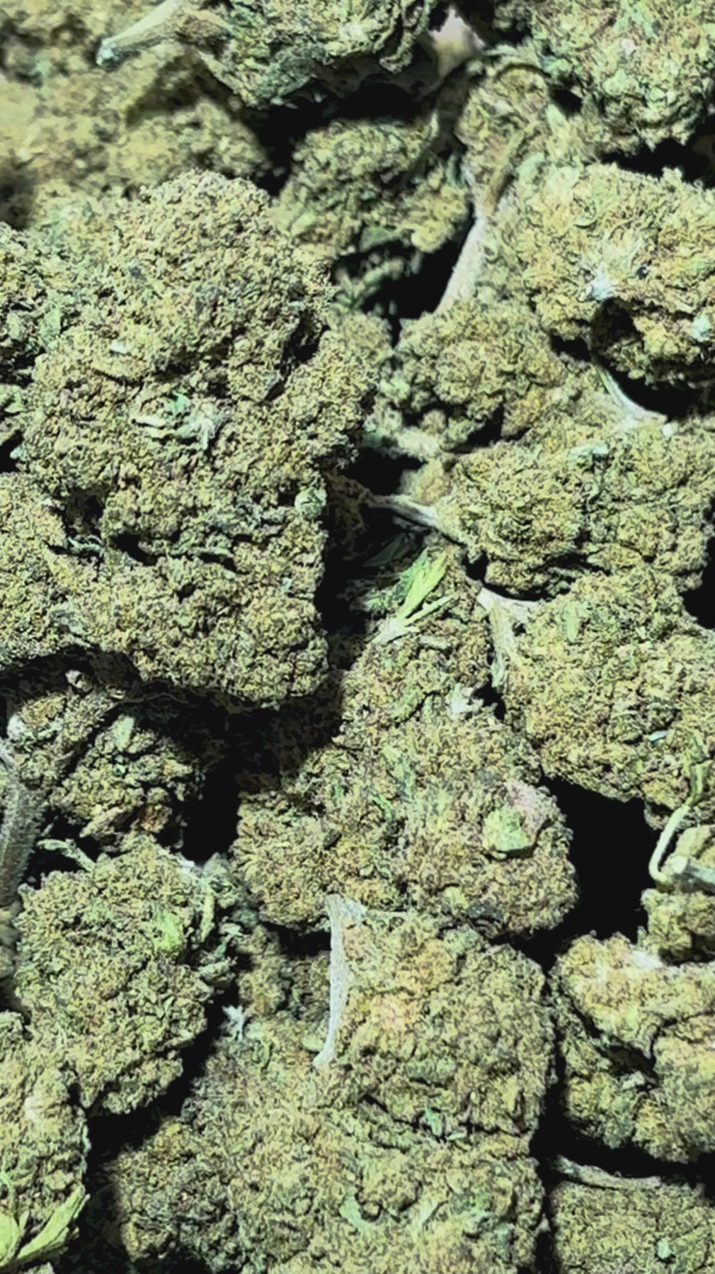 Video laden: Mango Tango 17% CBD